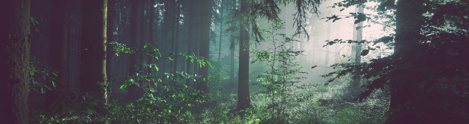 sebastian-unrau-sp-p7uuT0tw-unsplash