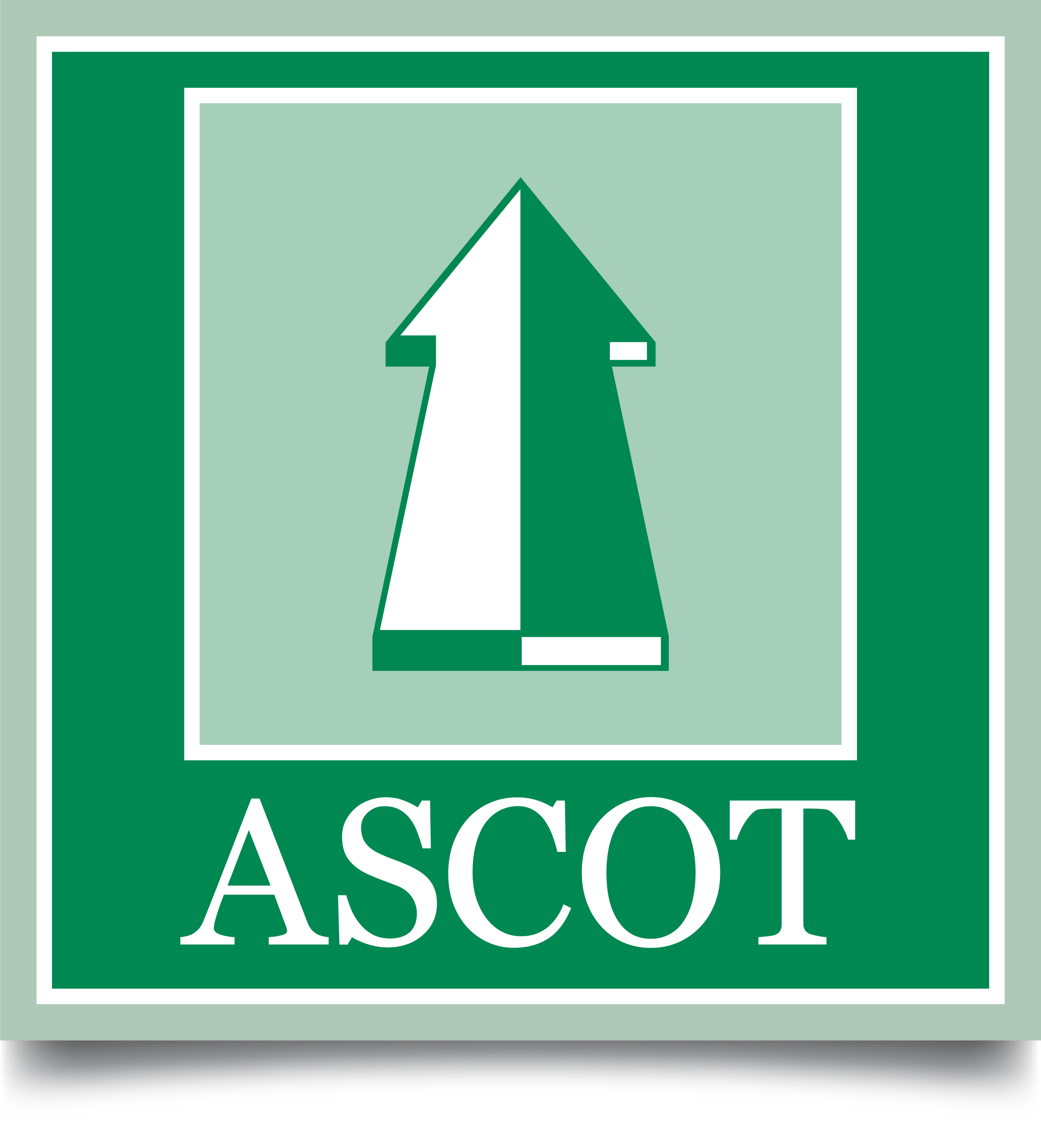 Ascot Ascensori