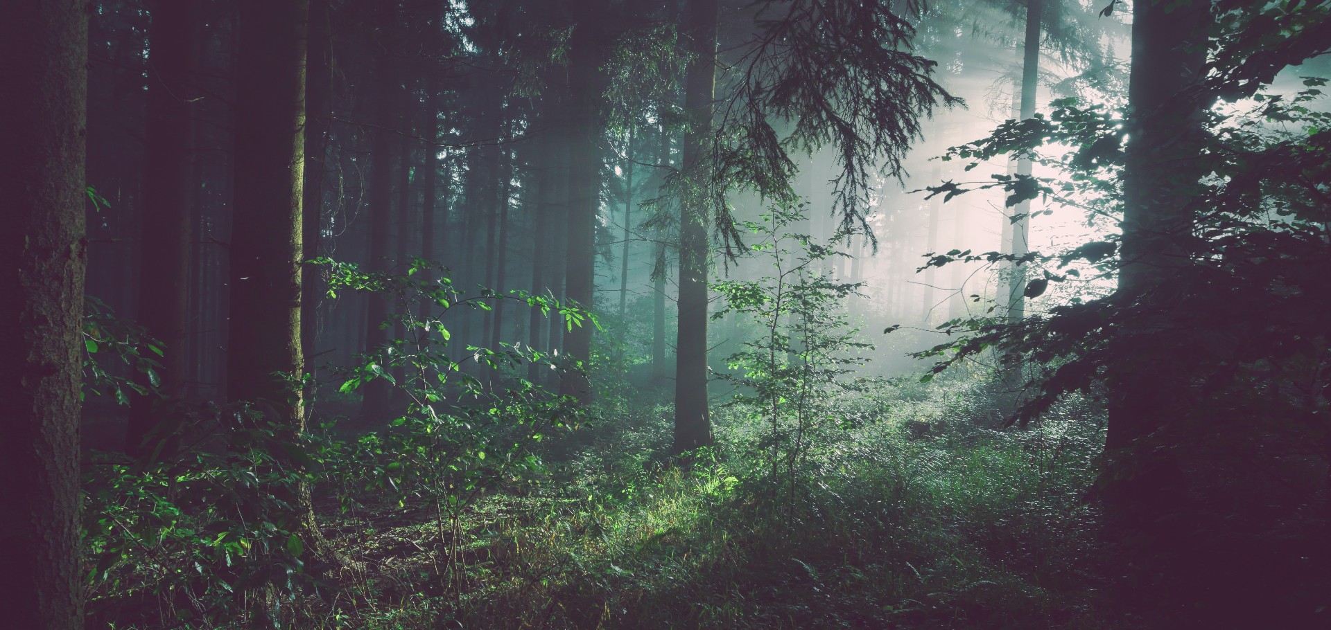 sebastian-unrau-sp-p7uuT0tw-unsplash