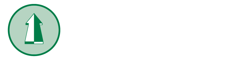 Ascot Ascensori